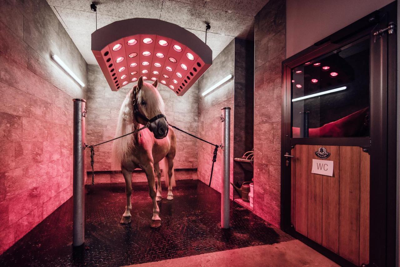Familienresort Ellmauhof Saalbach-Hinterglemm Kültér fotó